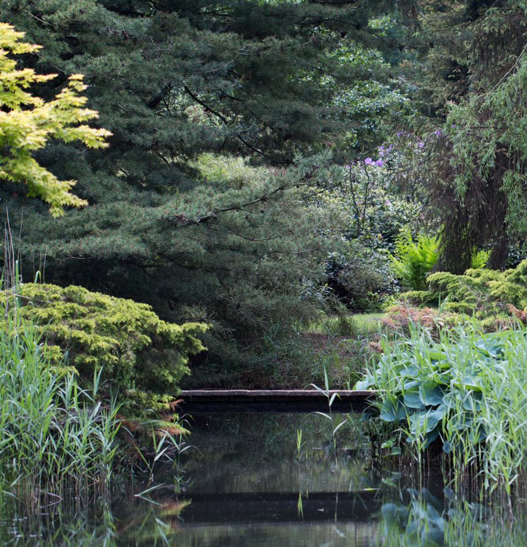 Bomenmuseum natuur bosbaden